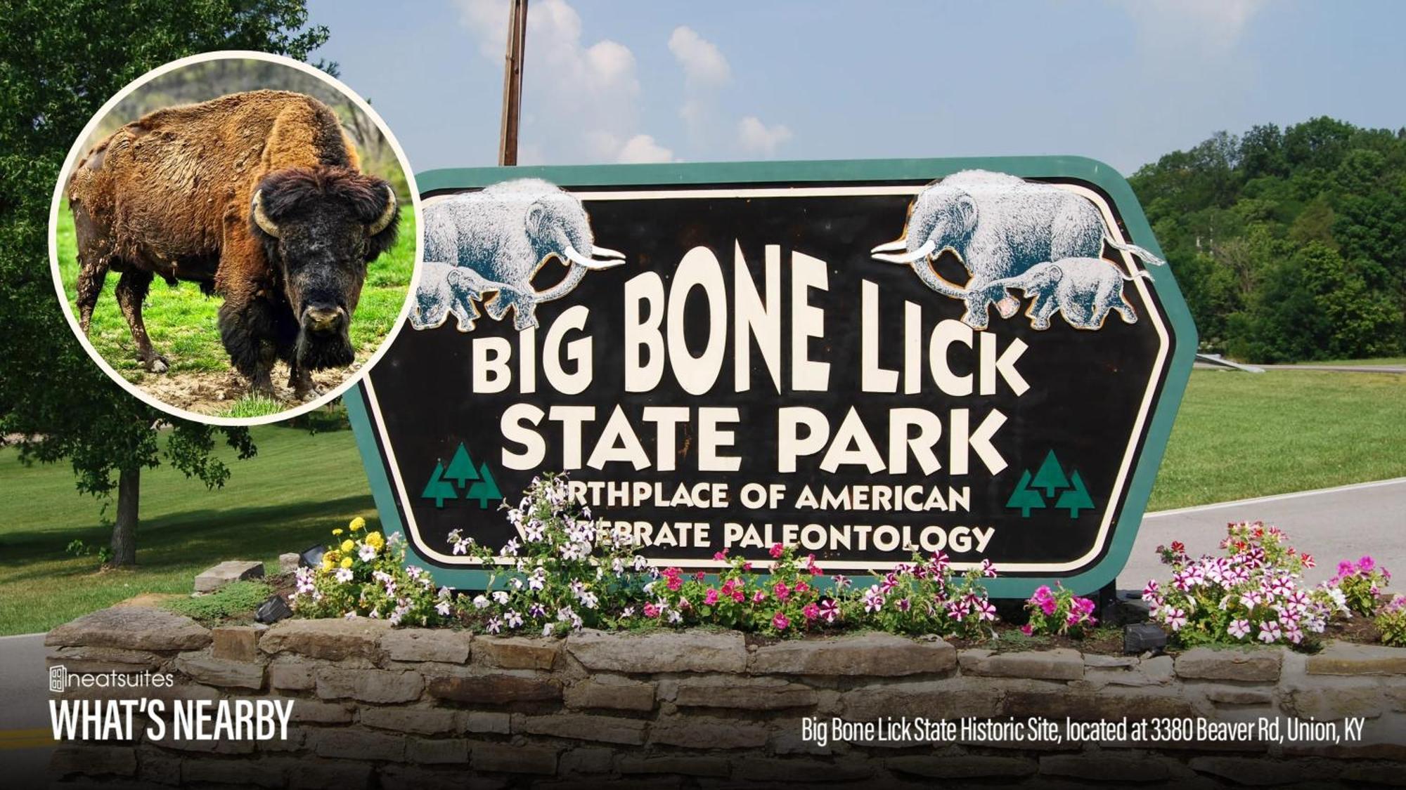 The Lodges At Eden Reserve - Safari Tents Уильямстаун Экстерьер фото